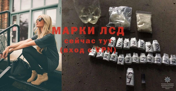 PSILOCYBIN Кулебаки