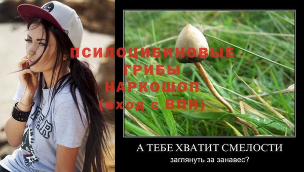 стафф Куйбышев