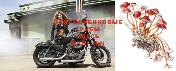 стафф Куйбышев