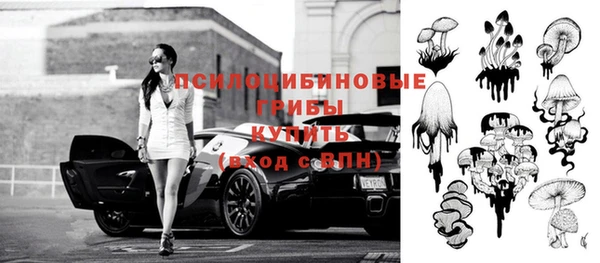 стафф Куйбышев
